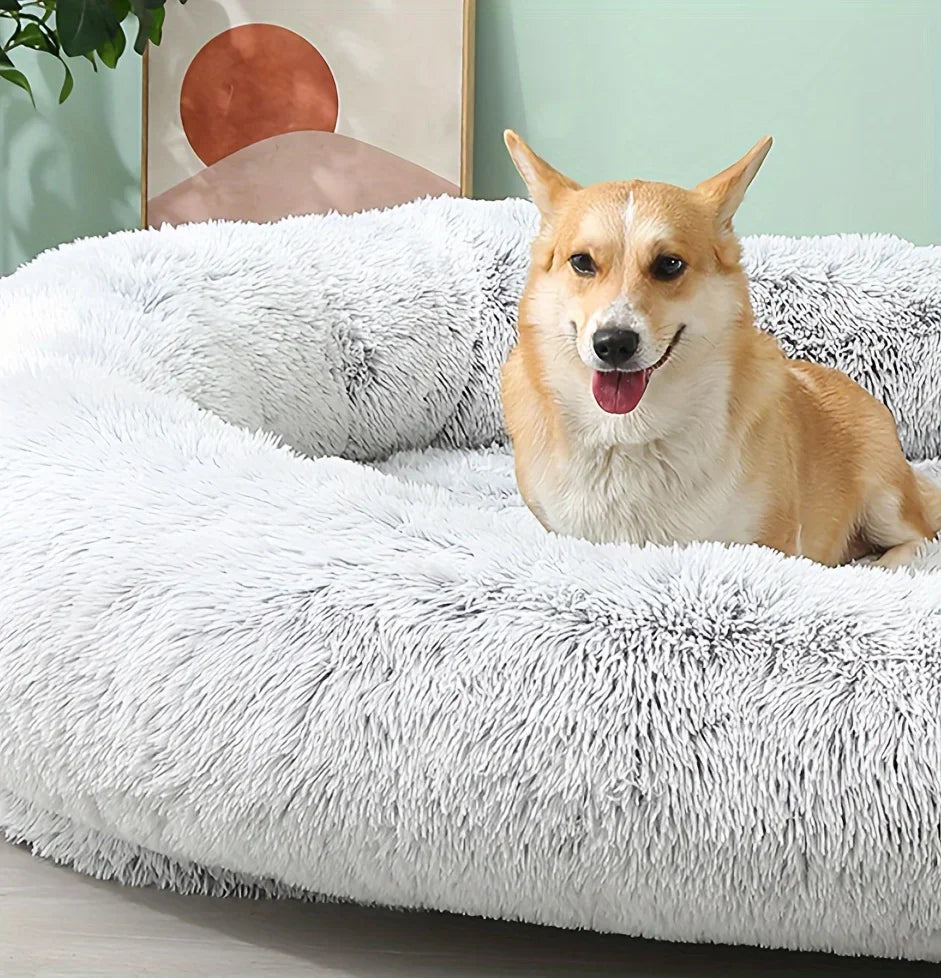 Human-Sized Large Dog Bed