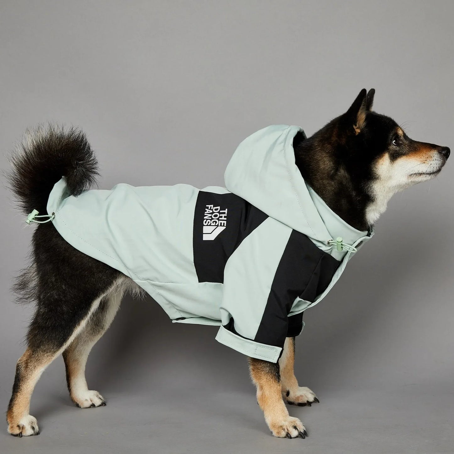 Warm Reflective Dog Jacket for Small Dogs
