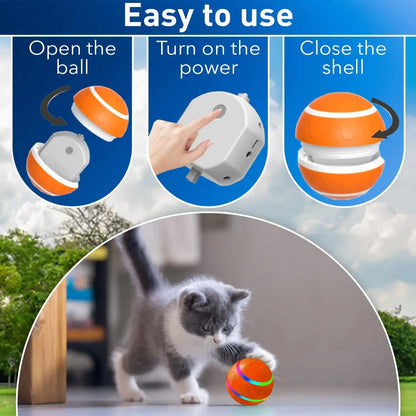 Interactive Flashing Remote Dog Toy Ball