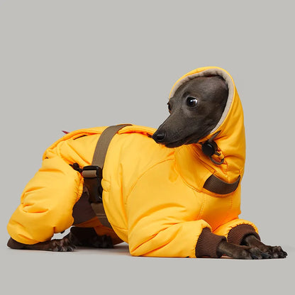 Italian Greyhound Winter Turtleneck Dog Jacket