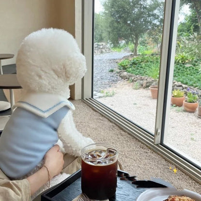 Cute Stripe Polo Shirt for Dogs