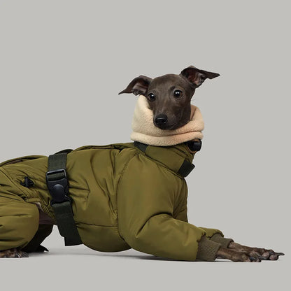 Italian Greyhound Winter Turtleneck Dog Jacket