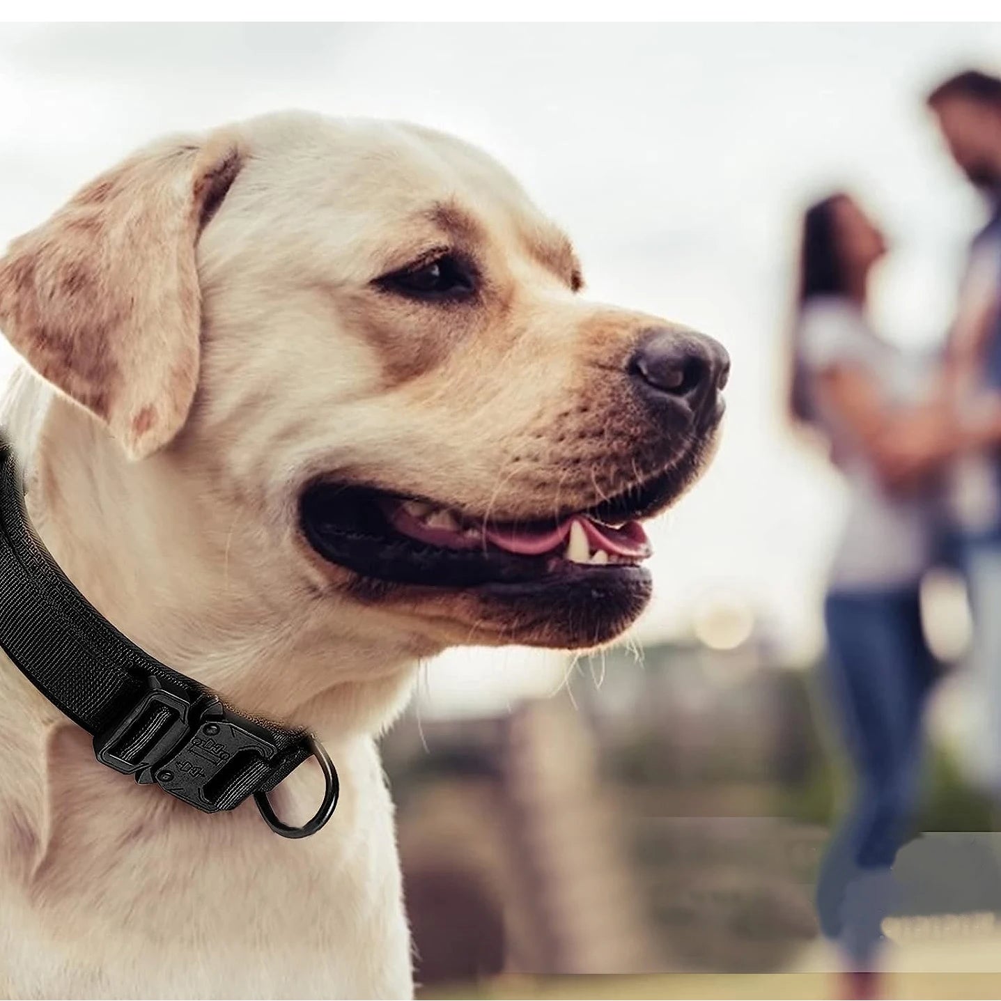 Heavy Duty Tactical Dog Collar Leash