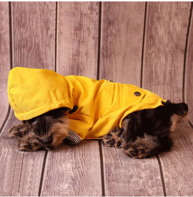 Waterproof Winter Dog Raincoat for Large Dogs