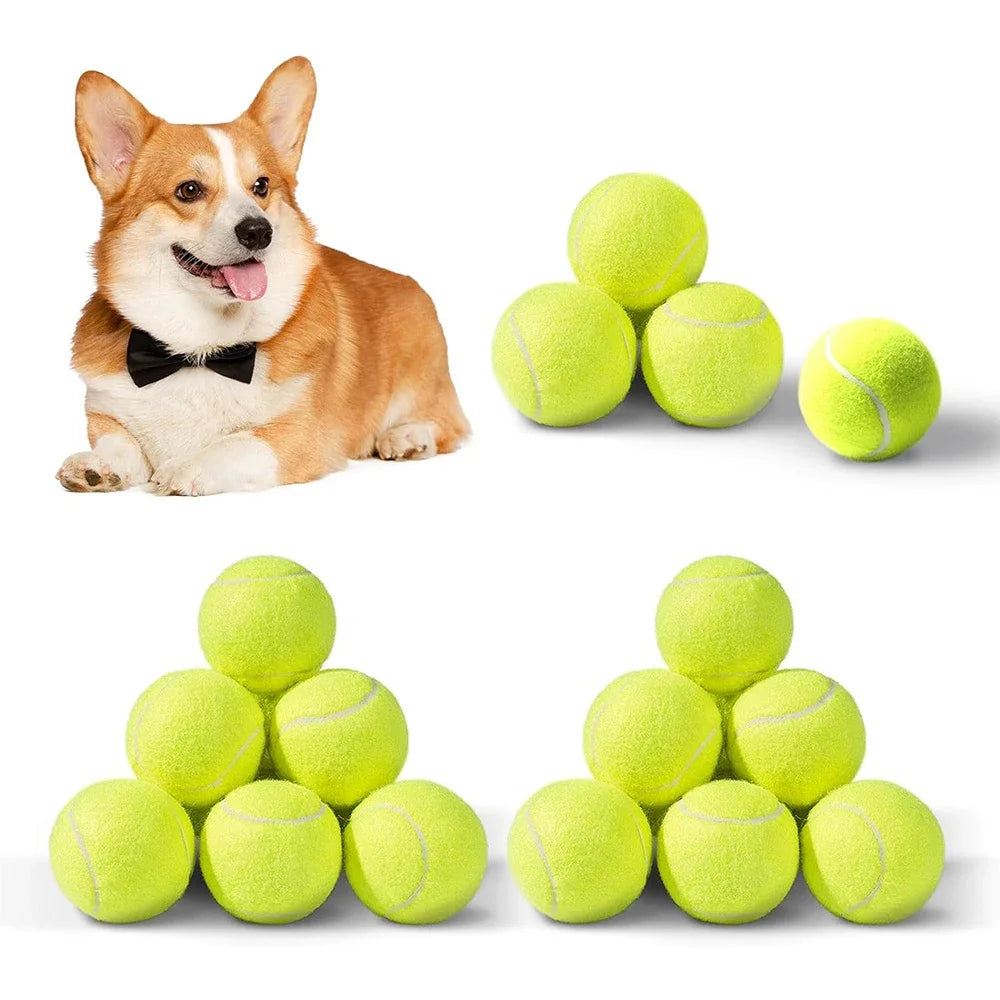 Tennis Launcher Balls for Dogs Set
