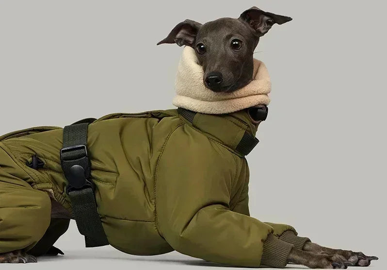Italian Greyhound Winter Turtleneck Dog Jacket