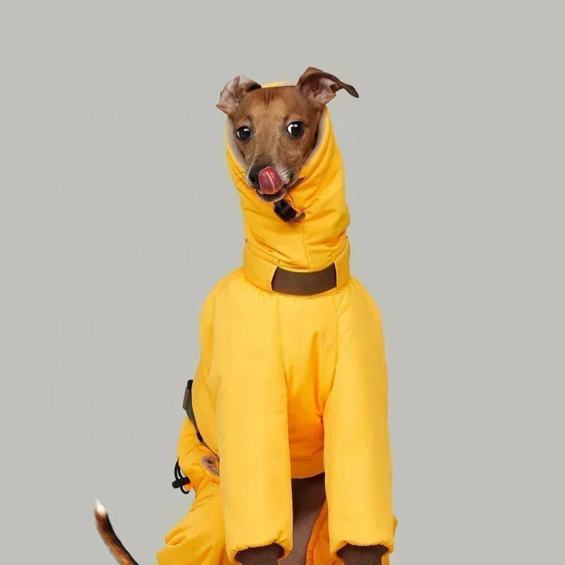Italian Greyhound Winter Turtleneck Dog Jacket