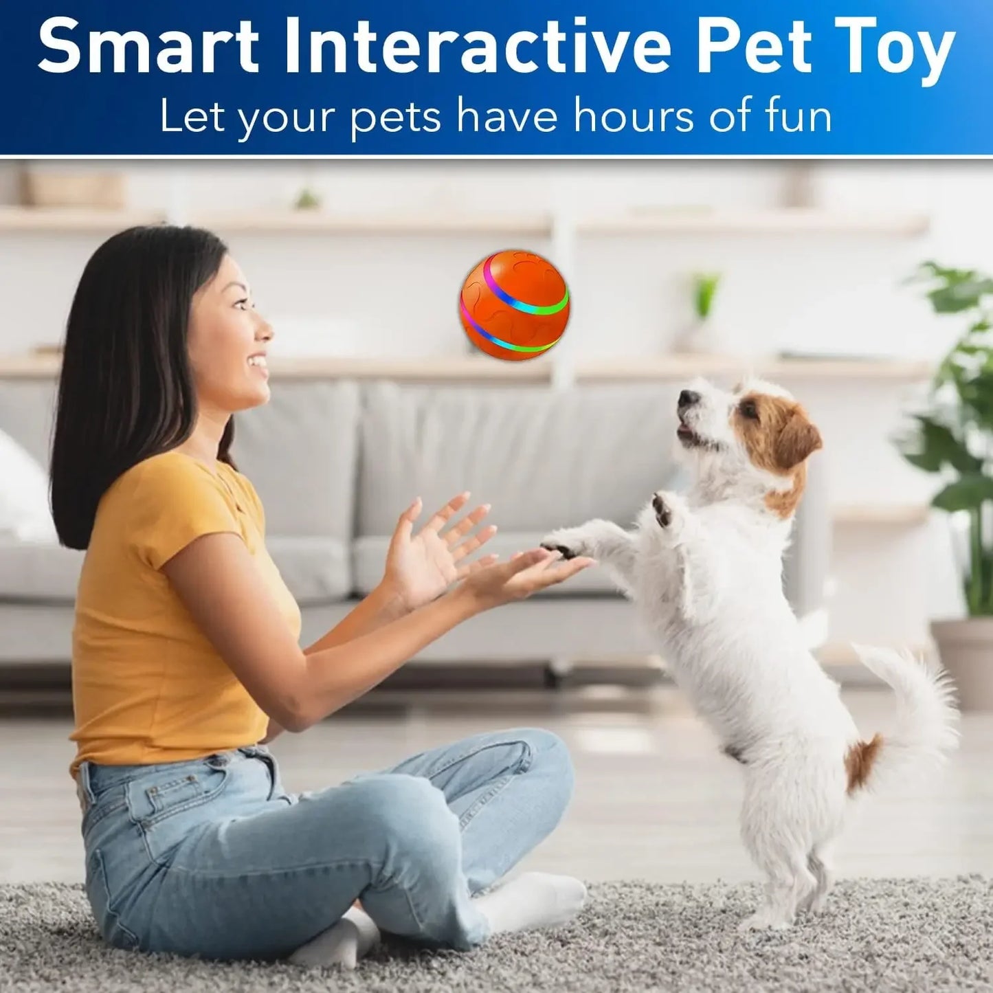 Interactive Flashing Remote Dog Toy Ball