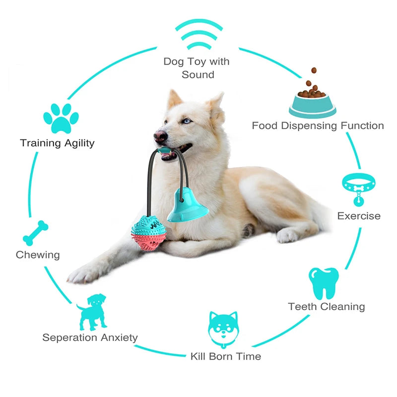 Interactive Suction Rope Dog Chew Toy