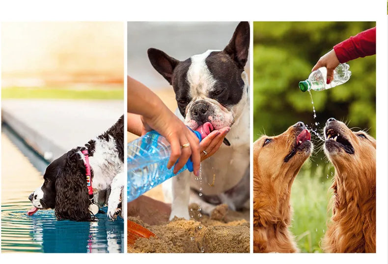 Portable Pet Water Bottle for Dogs