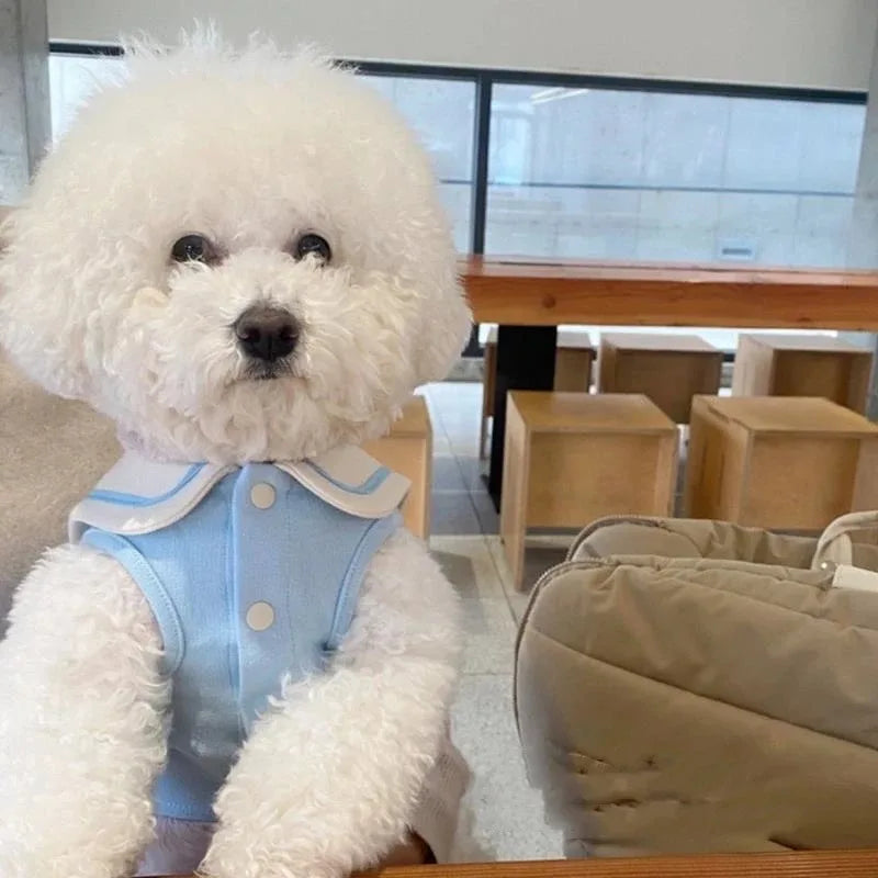 Cute Stripe Polo Shirt for Dogs