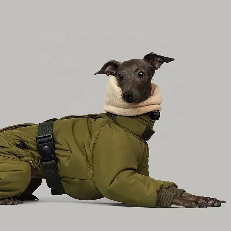 Italian Greyhound Winter Turtleneck Dog Jacket