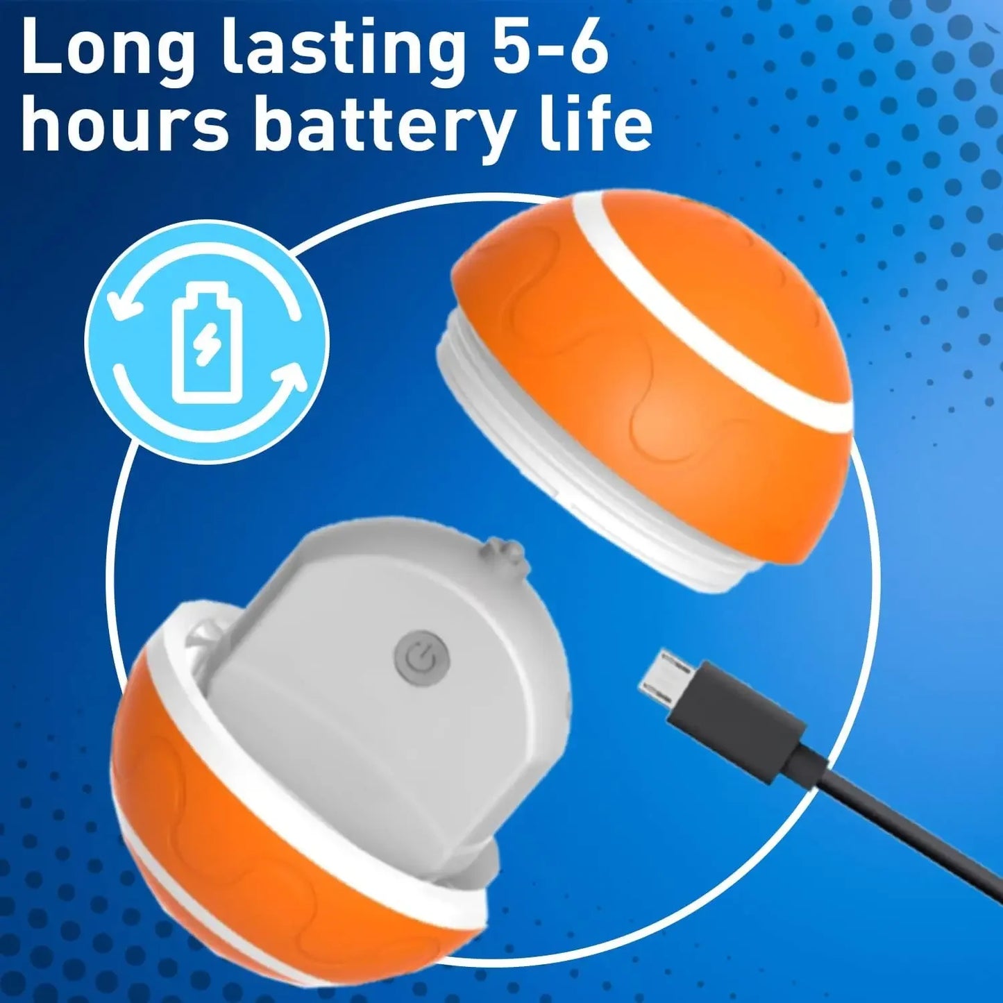 Interactive Flashing Remote Dog Toy Ball