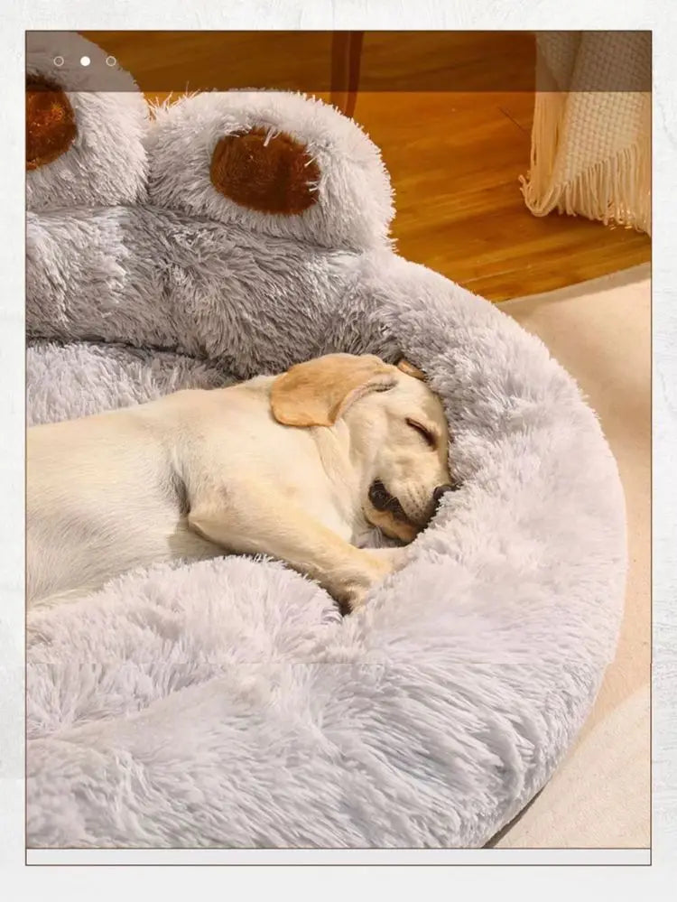 Cute Bear Paw Plush Dog & Cat Bed