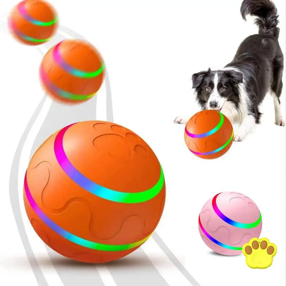 Interactive Flashing Remote Dog Toy Ball